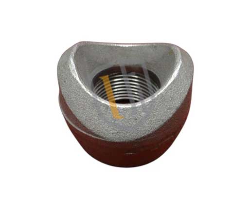 Alloy Steel Forged Butt Weld Branch Outlet